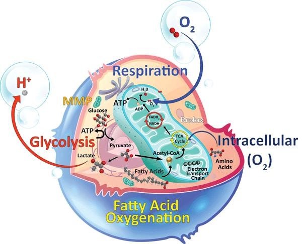 Metabolomics